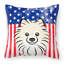  Coussin 14 "American Flag-1560285707-1560604464