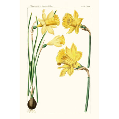 «Bright Botanicals I», impression sur toile tendue