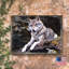 Bloc en bois loup Schorr-997982731