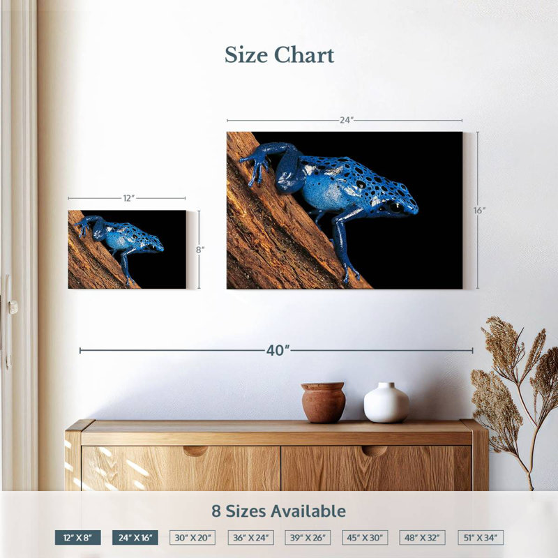 Crowle Poison Arrow Frog