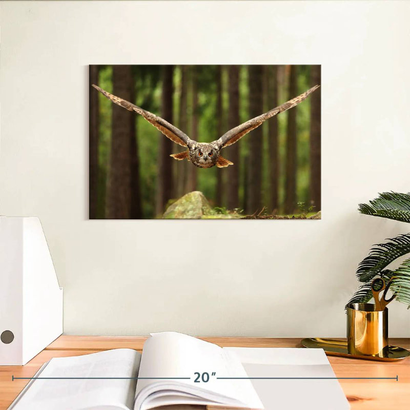 Crowle Eurasian Owl, 8" H x 12" W