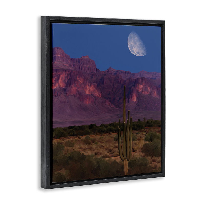 Cadre flottant Cactus In The Mountains, design par Renel Peters, H 31 po x l 25 po, Cadre flottant noir de jais