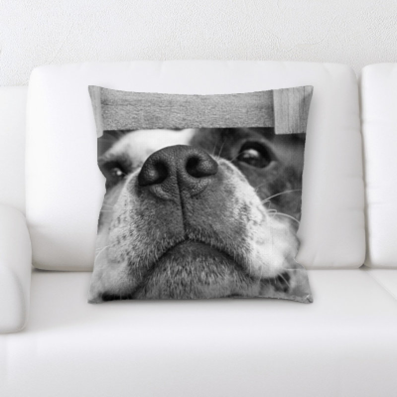 Coussin décoratif pour chien Aiden