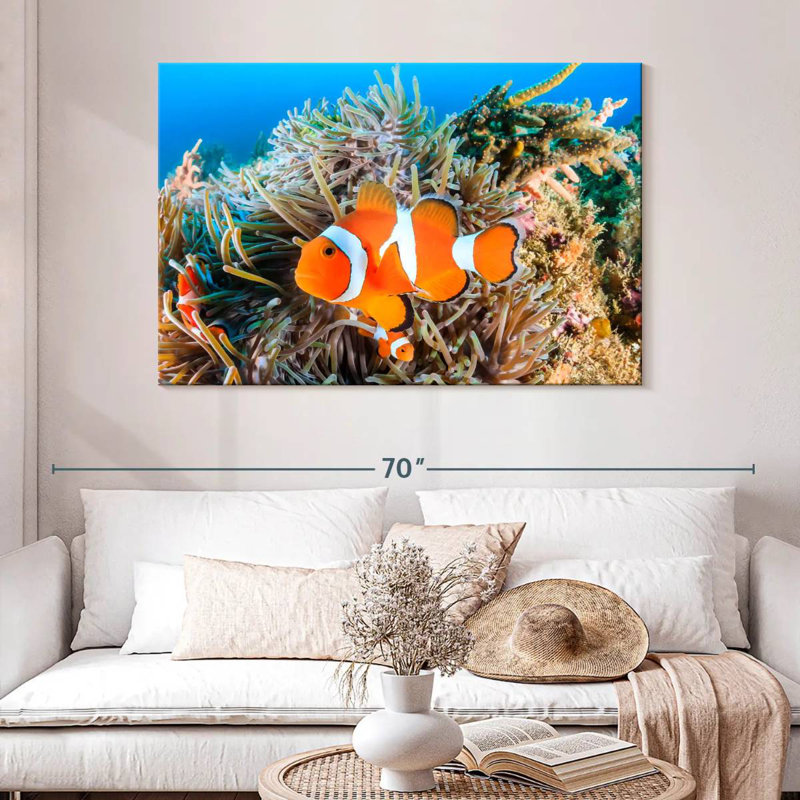 Brampt poisson nageant