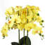 Plant-88685042-88685043