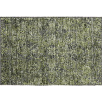 Premium Machine Washable Cerrito AMF571 Green Rug