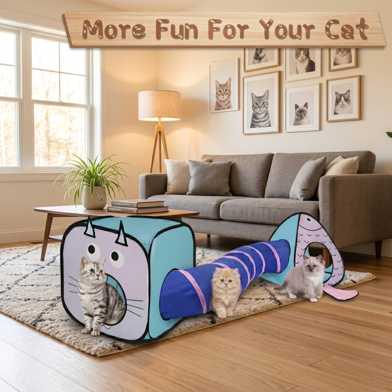 Ensemble de jeu de tunnel et de cubes pour chat, tube pliable pliable et cubes pliables, pour chatons, lapins, chiots, furets