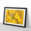 Yellow Butterfly - Picture Frame Painting Print-56739442-56739445