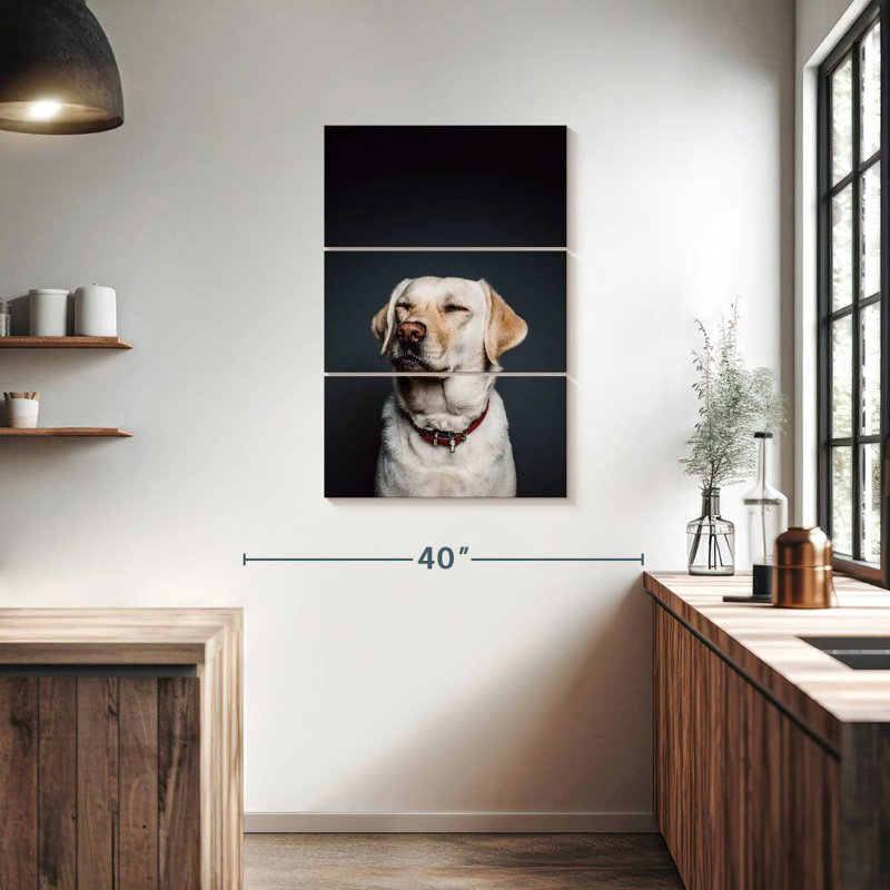 Brampt loufoque le Labrador, H 38 po x l 24 po