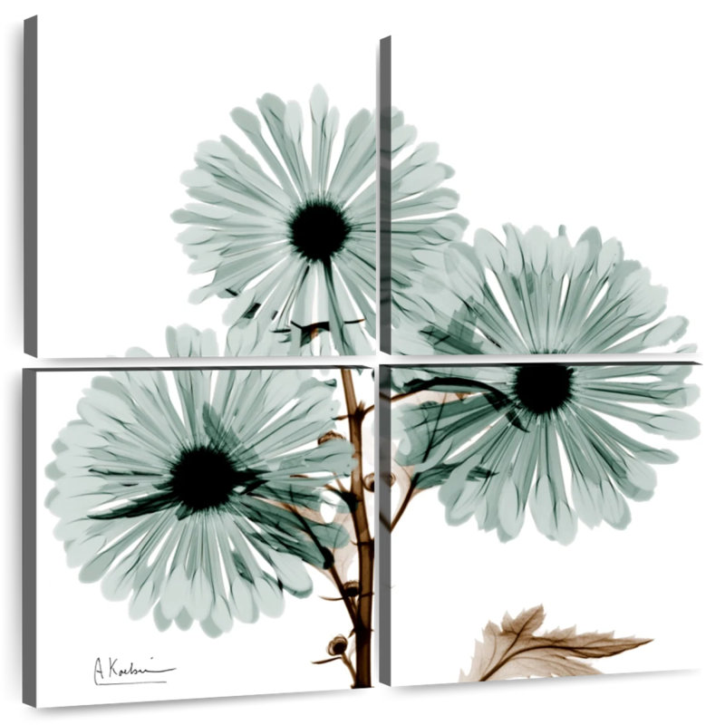«Harnek Chrysanthemum Love», H 38 po x l 38 po