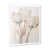 White Single Picture Framed