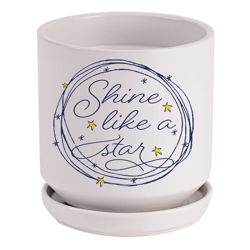 Planter Shine Like A Star