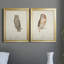 Scops - Eared Owl - Ensemble de 2 peintures sur toile encadrées-1040616812-1040616815