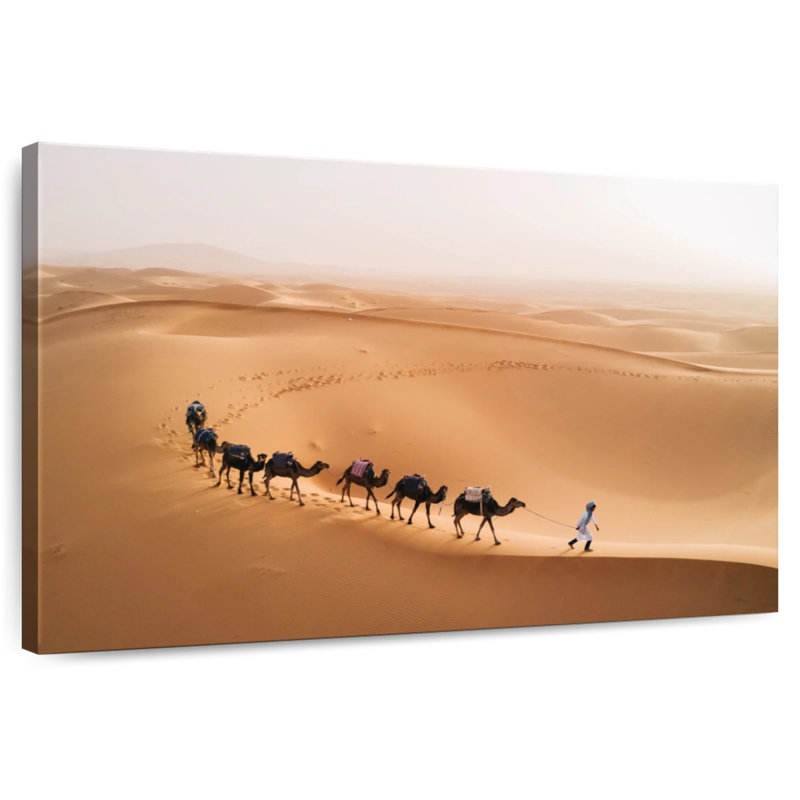 Chameaux d'Alvord dans le désert marocain, H 30 po x l 45 po