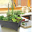Pot à fleurs surélevé en plastique Fentress-87758912