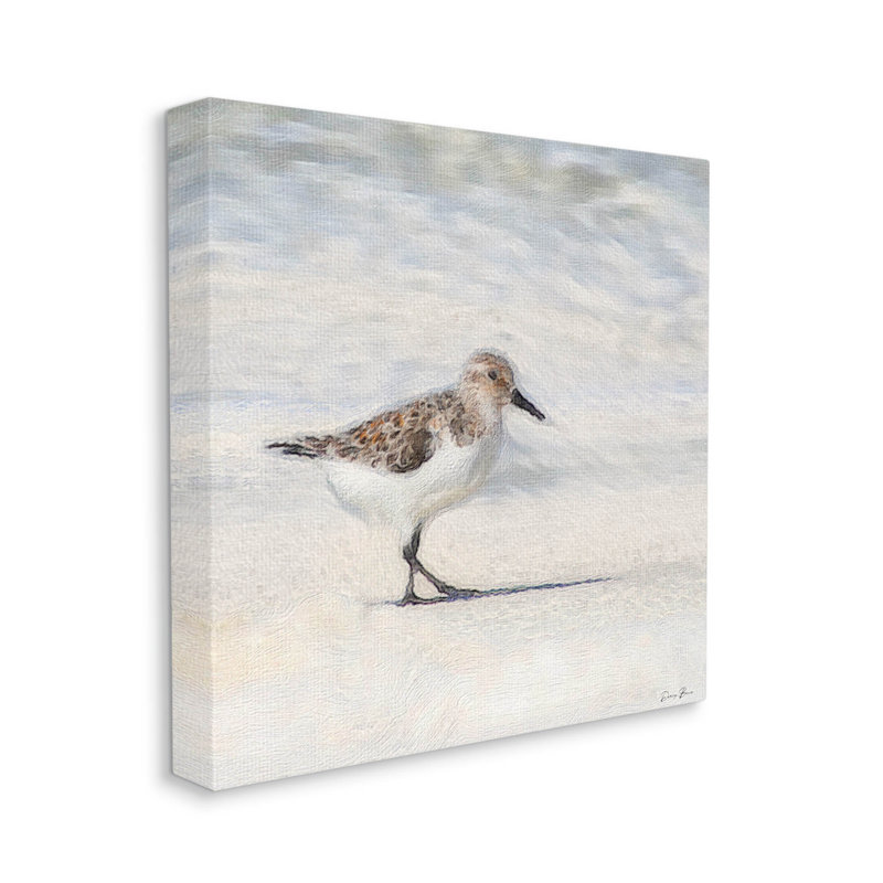 «Sandpiper Bird Stepping Beach Sand» par Denise Brown - impression sur toile tendue, H 17 po x l 17 po x P 1,5 po