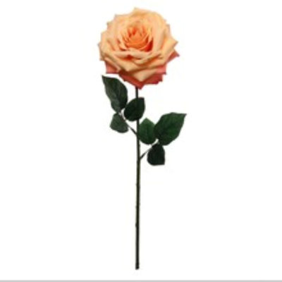 20" Open Rose Stem - 4 Pack