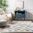 Naya SpinClean Checkered Machine Washable Area Rug-1972914284
