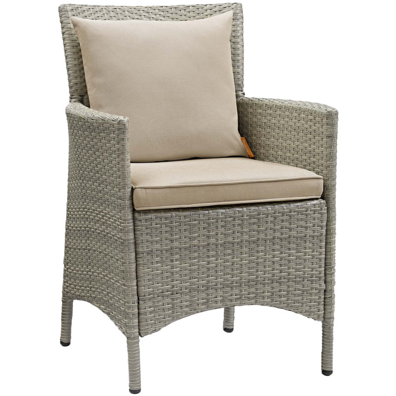 Chaise de salle à manger en rotin et osier Bocabec par Havenside Home, Beige, Velours gris pâle