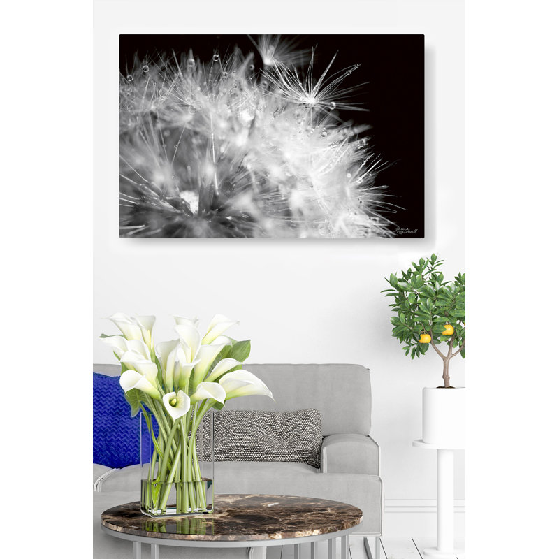 Up, On Black, Black And White, 16" H x 24" W x 1.5" D