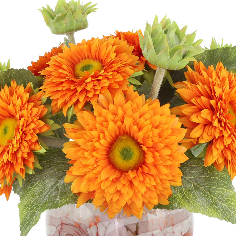 Tournesols disposés dans un vase en verre, Branca