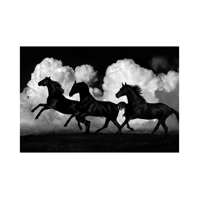 Wild Horses by Samantha Carter - Wrapped Canvas Print, 30.48 cm H x 45.72 cm W
