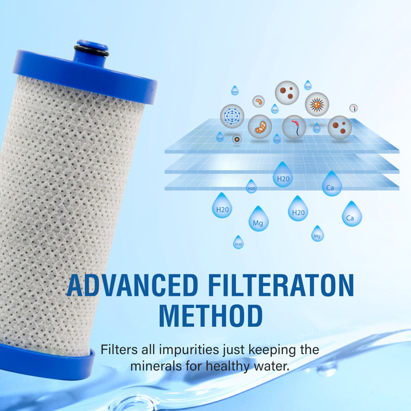 Replacement Filter