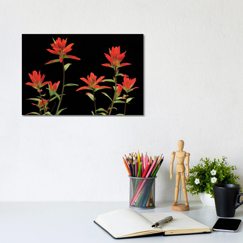 «Indian Paintbrushes» par Brian Wolf - photographie sur toile tendue, H 8 po x l 12 po x P 0,75 po