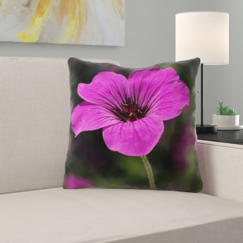 Coussin cranesbill