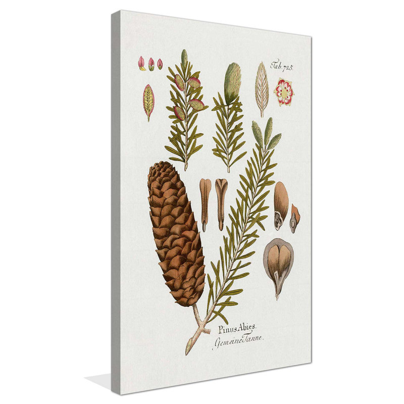 Sapin botanique par Kelly Donovan - Peinture, L 36 po x H 60 po, Toile tendue