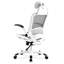 Louella Polyester Blend Office Chair with Headrest-765611886
