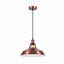 Peterborough 1 - Light Pendant-1412625942