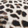 Anyssa Animal Print Area Rug