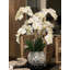 Orchild Floral Arrangements in Vase