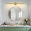 Éclairage de meuble-lavabo à intensité variable de 39 pouces 5 CCT-119182523