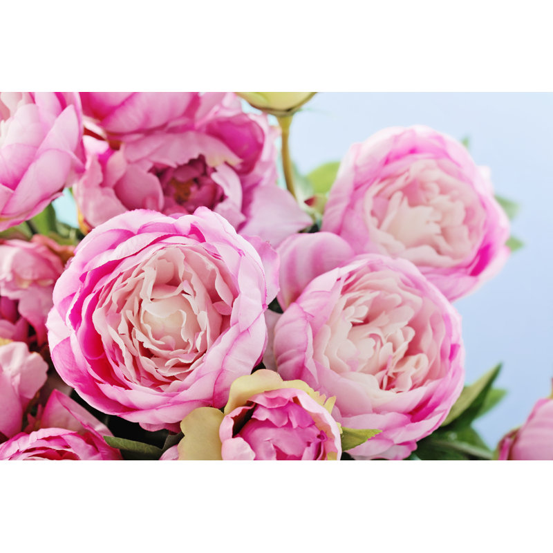 Peony Flowers - Photograph, 81cm H x 122cm W, Wrapped Canvas