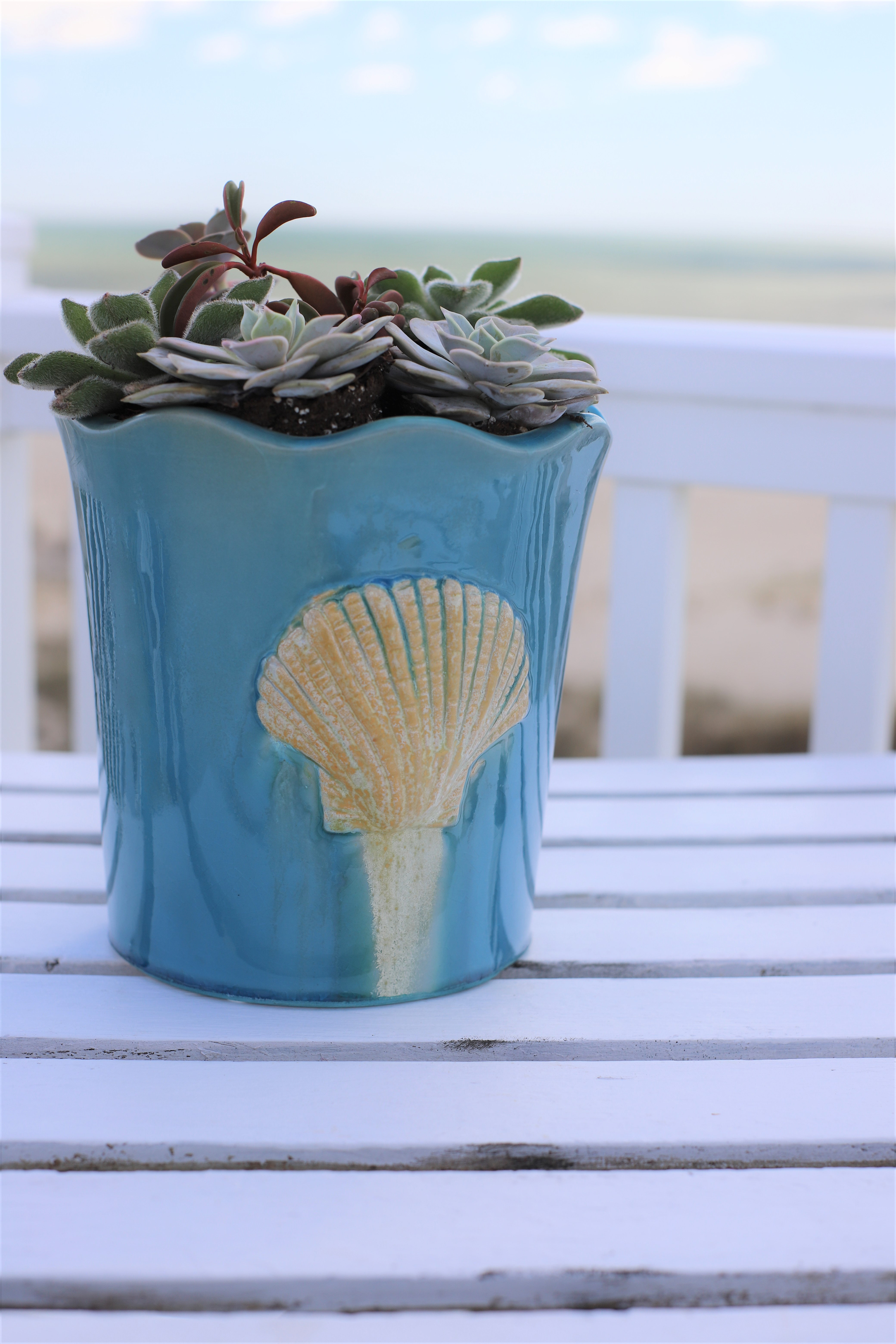Claybarn Grotto Seashell Stoneware Pot Planter & Reviews