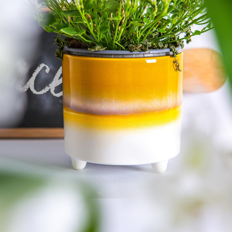 Ceramic Pot Planter, Yellow