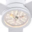 Ventilateur de plafond 48 po avec lumière Lowe-510509335-509271609