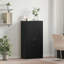 Storage Cabinet-1580488268
