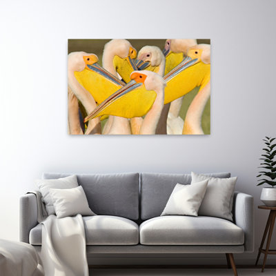 Flock Of Great White Pelicans Lake Nakuru Kenya Pelecanus Onocrotalus Contemporary Bird Pelican Art