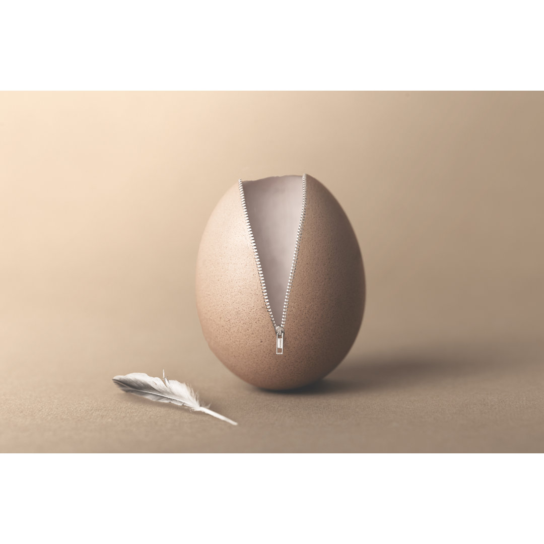Unzipped Surreal Egg by Francescoch - Wrapped Canvas Graphic Art