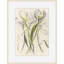 Plants & Flowers Print by Claudia Lowry-1098024902