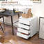 Taliyha 46cm Wide 4 -Drawer File Cabinet-299602184