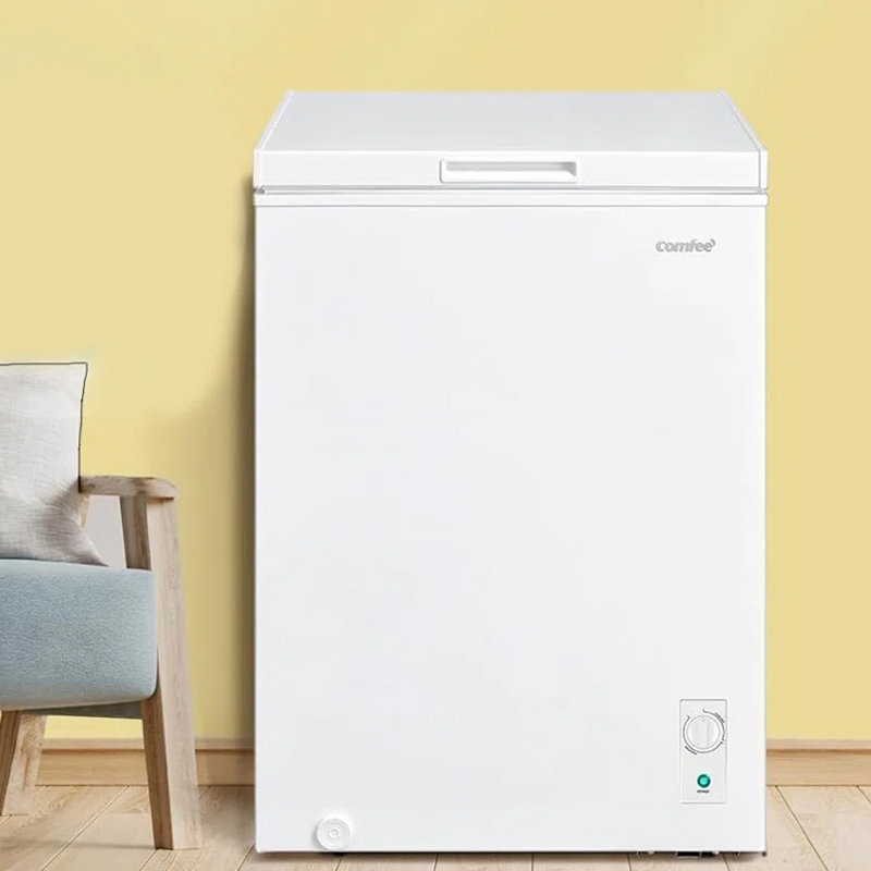 Brayden Studio 0.143m³ L Mini Fridge