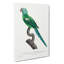 Yellow-Shouldered Amazon Macaw Parrot by F. Levaillant - Wrapped Canvas-55320121