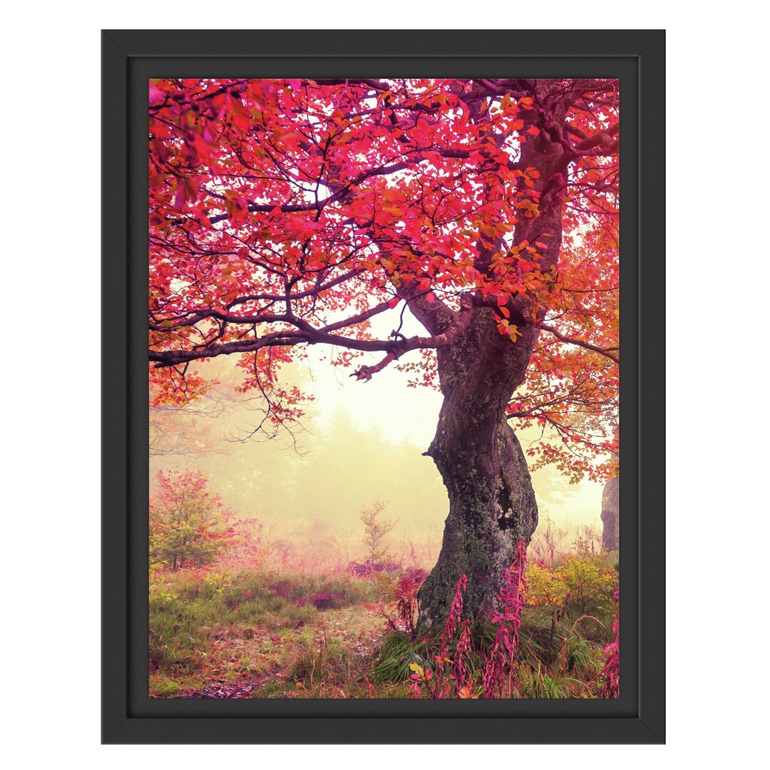 Gerahmtes Wandbild Traumhafte Herbstlandschaft