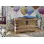 Leeds 1 Piece Solid Wood Blanket Chest
