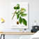 English Walnut Tree by Pierre-Joseph Redoute - Wrapped Canvas Painting
