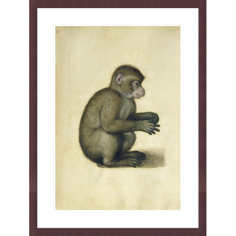 «A Monkey» par Albrecht Dürer, impression giclée sur cadre, H 29,5 po x l 22,17 po